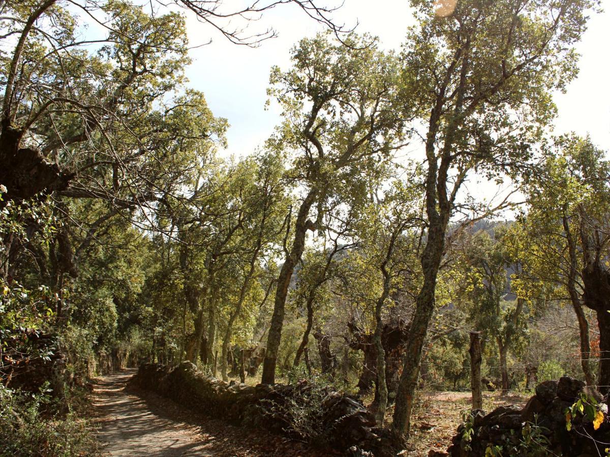 El Rincon De Marcelino Pension Cortelazor Buitenkant foto